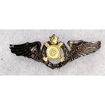 ​​​​Shah Period Iranian Air Force Wing