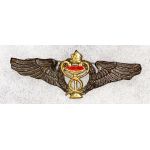 ​​Shah Period Iranian Air Force Medical Wing
