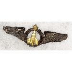 ​​​Shah Period Iranian Air Force Wing