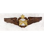 ​​Shah Period Iranian Air Force Military Police Wing