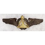 ​​​Shah Period Iranian Air Force Wing