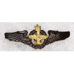 ​Shah Period Iranian Air Force Pilot Wing