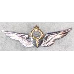 Shah Period Iranian Army Fixed Wing Pilot Wing