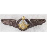 ​​​​​​​Shah Period Iranian Air Force Navigator Wing