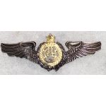 Shah Period Iranian Air Force Wing