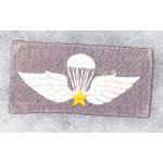 South Vietnamese Navy SEAL / LDNN Airborne Jump Wing