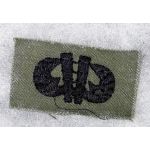 ​​ARVN / South Vietnamese Army Ranger Recon Qualification Wing / Patch