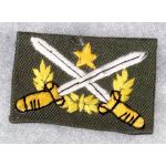 ​ARVN / South Vietnamese Army Ranger Qualification Patch