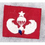 ​Vietnam ROC / Taiwanese Airborne Jump Wing