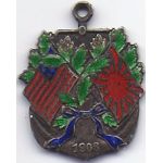 Great White Fleet Visit To Japan Enamelled Badge