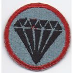 150th Regimental Combat Team Patch