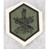 ​South Vietnamese Regional Forces / Popular Forces Patch