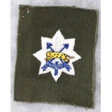 Vietnam Era Thailand Special Forces Lop Buri Qualification Patch