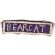 136th Infantry Regiment BEARCAT Tab