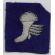 WWII Army Air Forces / Royal Air Force Bullion Winged Boot Patch