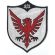 513th Fighter Intercepter Squadron Patch