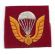 ARVN / South Vietnamese Army Airborne Beret Badge