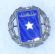 WWII US Maritime Service / Merchant Marine Son In Service Pin