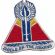Vietnam 13th Aviation Battalion SHIELD OF THE MEKONG Pocket Patch