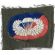 Vietnam 173rd Airborne Brigade Oval & Wing