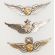 1960's Set Of Three Army  Astronaut Pilot Wings