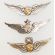 1960's Set Of Three Army  Astronaut Pilot Wings