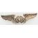 WWII AAF Aircrew Wing