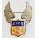 Aircraft Warning Service 2nd Interceptor Command  Enameled Wing Badge
