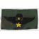 ARVN / South Vietnamese Special Forces Pattern Senior Airborne Wing On ERDL Background