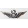 Vietnam Era Army Master Aircrew STERLING Marked Wings