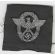 WWII German Police Officers M-43 Cap Patch