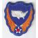 WWII AAF Continental Air Command Patch