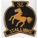 Vietnam 92nd Assault Helicopter Company STALLIONS Pocket Patch