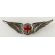 Vietnam Army Medical Evacuation Unofficial Sand Cast Wing