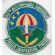 Vietnam US Air Force 311th Air Commando Squadron Patch