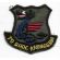 South Vietnamese Air Force Subdued Patch