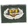 Vietnam Era Thailand Army Ranger Qualification Patch