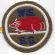 WWII  Wisconsin State Guard Patch