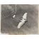 1930 Flying Wing Press Photo
