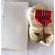 WWII New Old Stock / NOS Bronze Star Medal