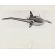 Early Flying Wing Plane Press Photo