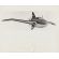 Early Flying Wing Plane Press Photo