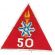 ARVN / South Vietnamese Army 50th Political Warfare Battalion Patch