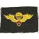 ARVN / South Vietnamese Army Pattern Master Instructor Airborne Jump Wing