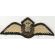 WWII RAF / Royal Air Force Pilots Wing