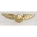 1950's-60's American Airlines Stewardess Gold Five Year Service Award  Wings