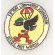 Vietnam US Air Force 19th Air Commando Squadron Patch