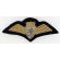 1960's-70's British Caledonia Bullion Pilot Wing