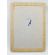 WWII THE FINAL THRUST 9th Infantry Division Invasion of Germany Unit History