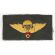 ARVN / South Vietnamese Army Pattern Basic Instructor Airborne Jump Wings